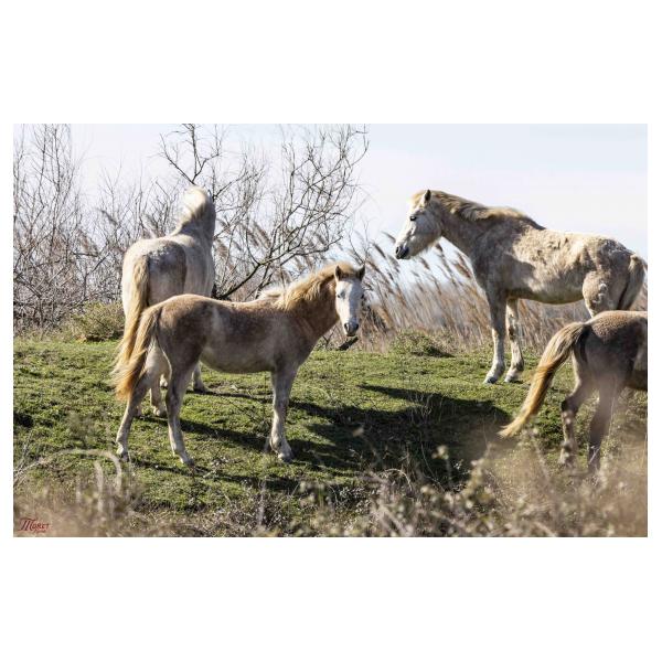 PHOTO84, CLUB, 84 , LUBERON